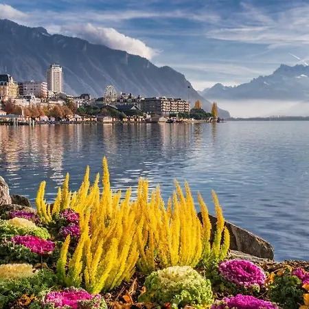 Apartment Center Montreux